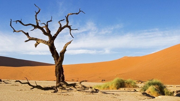 Американские ученые рассказали об ужасающих последствиях глобального потепления