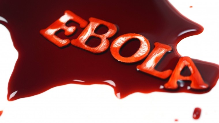 Число жертв лихорадки Эбола в Конго достигло 200 человек