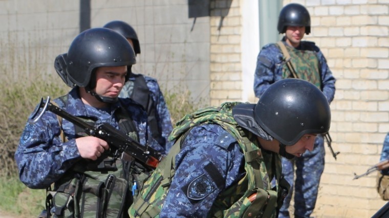 Три боевика уничтожены в ходе спецоперации в Дагестане — НАК