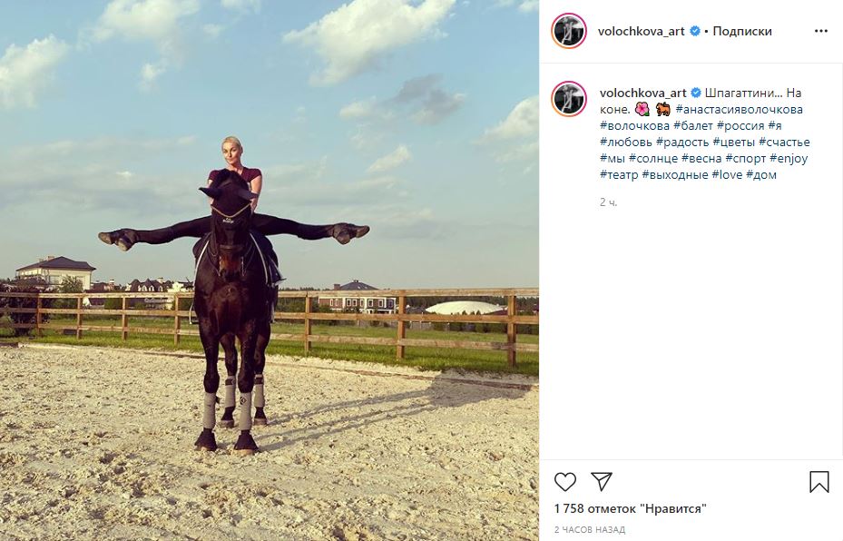 Подписать фото с лошадью в инстаграм