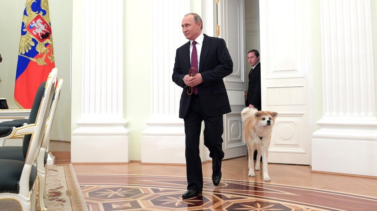 Владимир Путин и акита-ину Юмэ в 2017-м