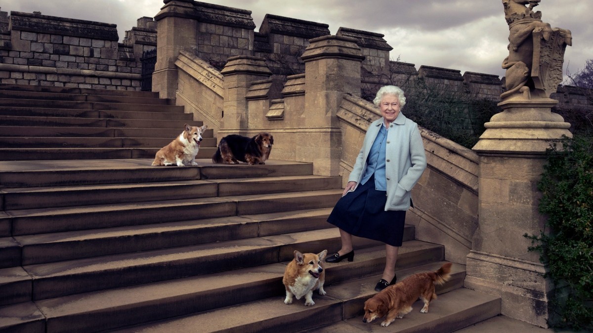 Королева Елизавета II и ее собаки в 2016-м