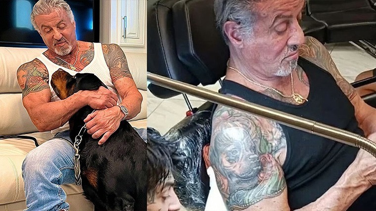 Сильвестра Сталлоне бросила жена — он заменил тату с её портретом на изображение собаки