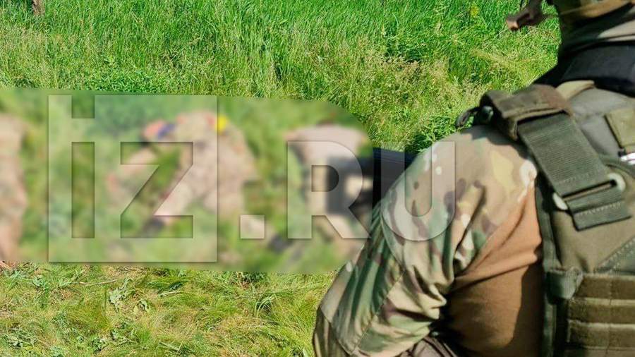 Российская армия уничтожила украинских диверсантов в Белгородской области