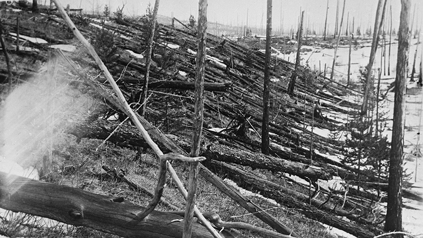 Вид обгоревшего леса в районе взрыва Тунгусского метеорита. 