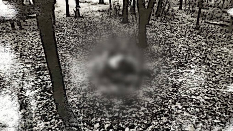 Тело убитой в 2002 году в Ивановском лесопарке женщины