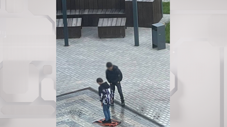 текст