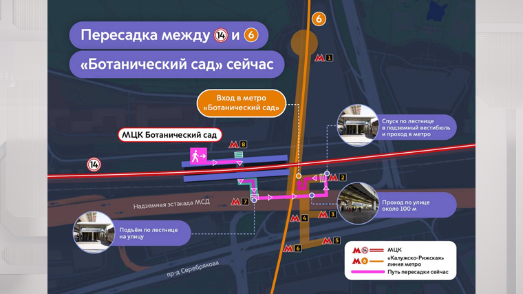 текст