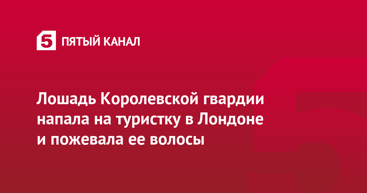 Лошадь Королевской гвардии напала на туристку в Лондоне и пожевала ее волосы