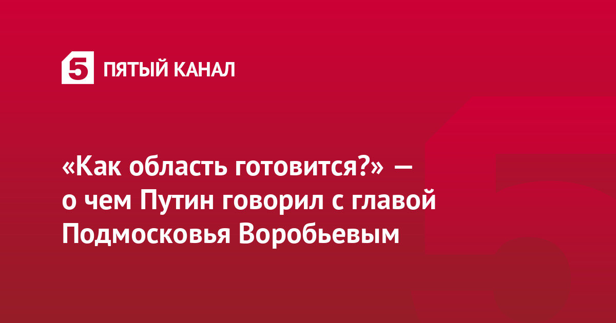 «Как область готовится?» — о чем Путин говорил с главой Подмосковья Воробьевым