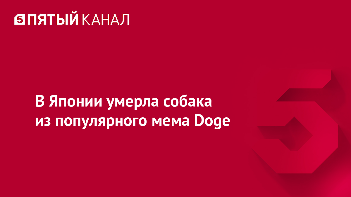 В Японии умерла собака из популярного мема Doge