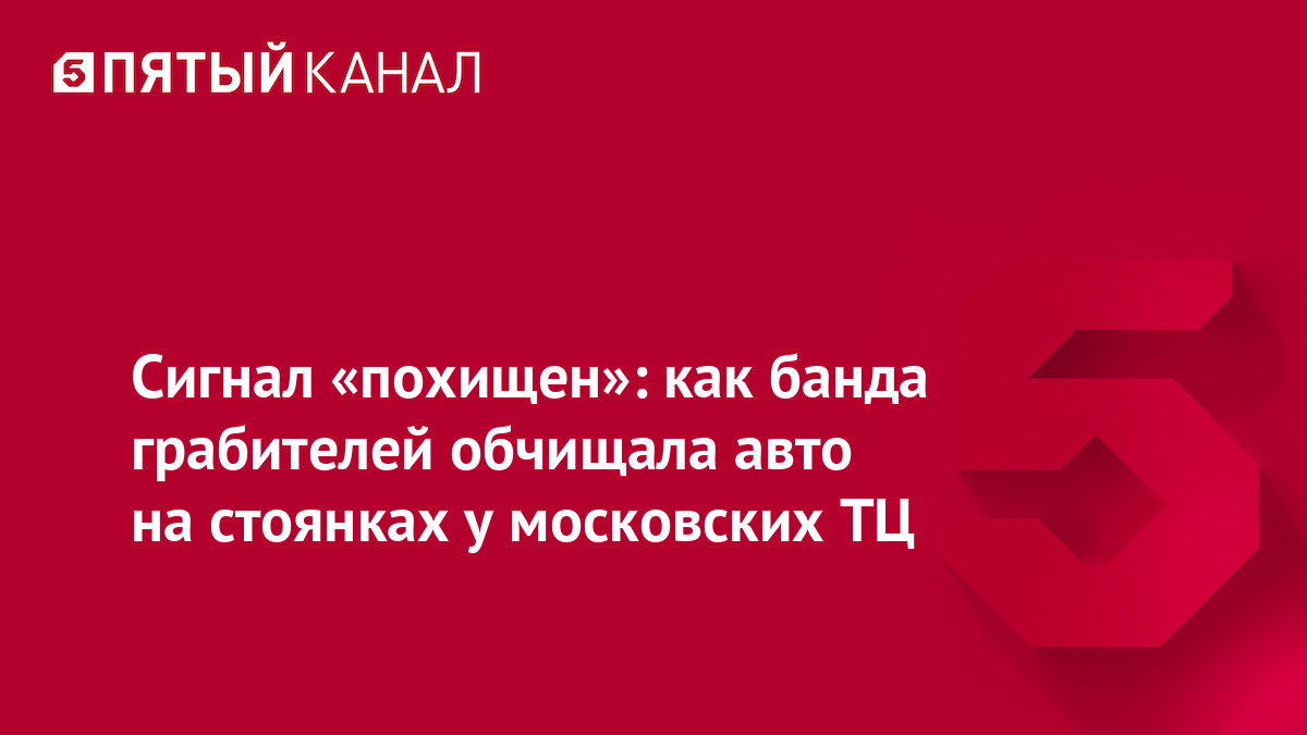 Сигнал «похищен»: как банда грабителей обчищала авто на стоянках у московских ТЦ