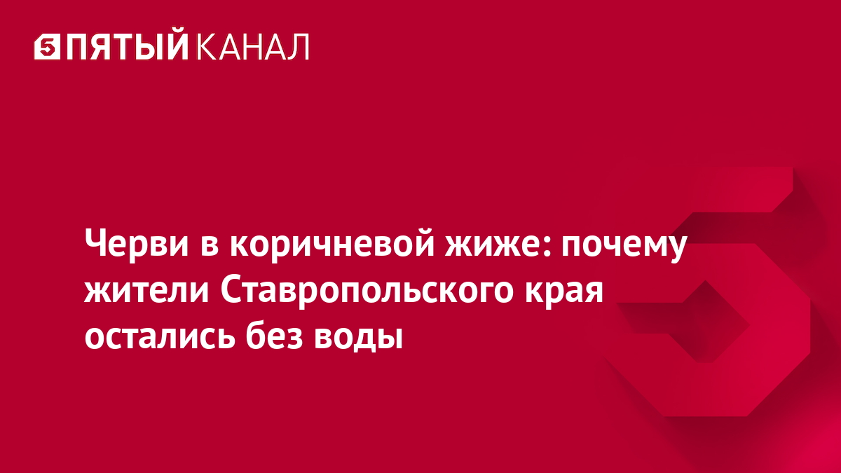 Черви в коричневой жиже: почему жители Ставропольского края остались без воды