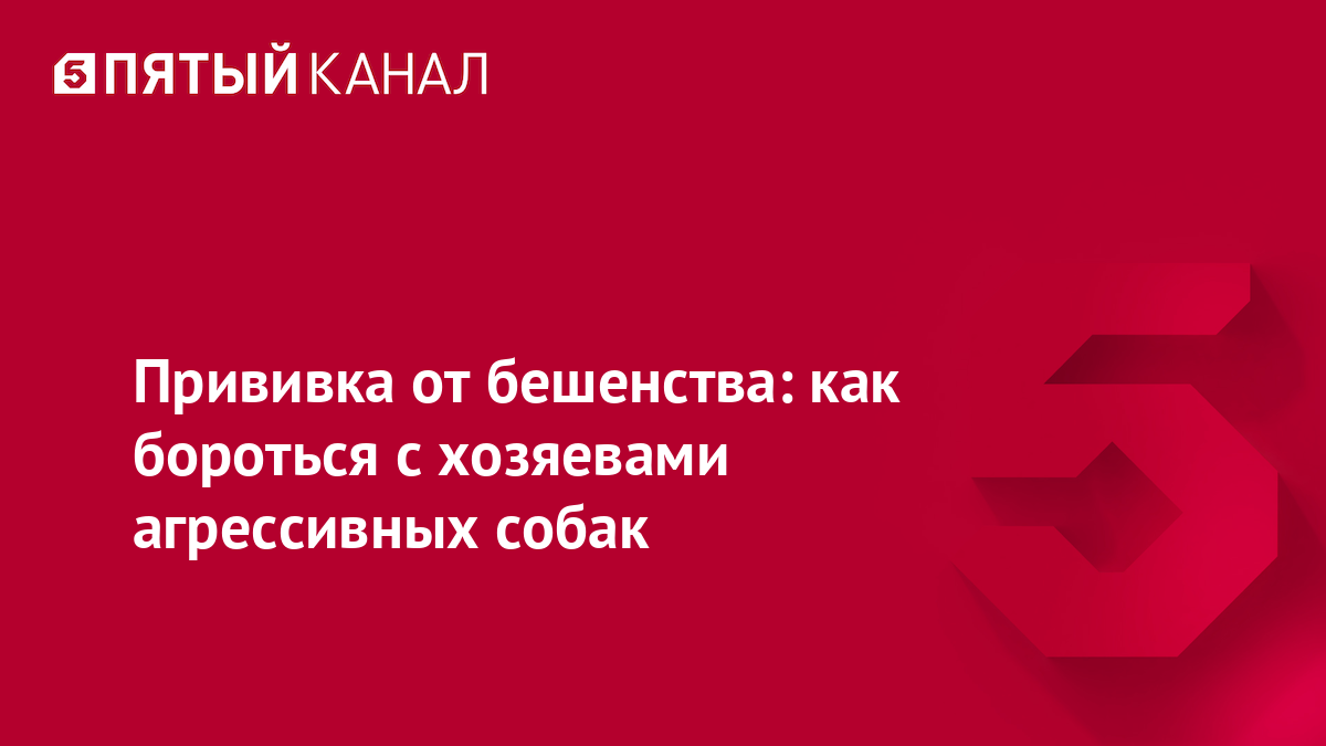 Прививка от бешенства: как бороться с хозяевами агрессивных собак