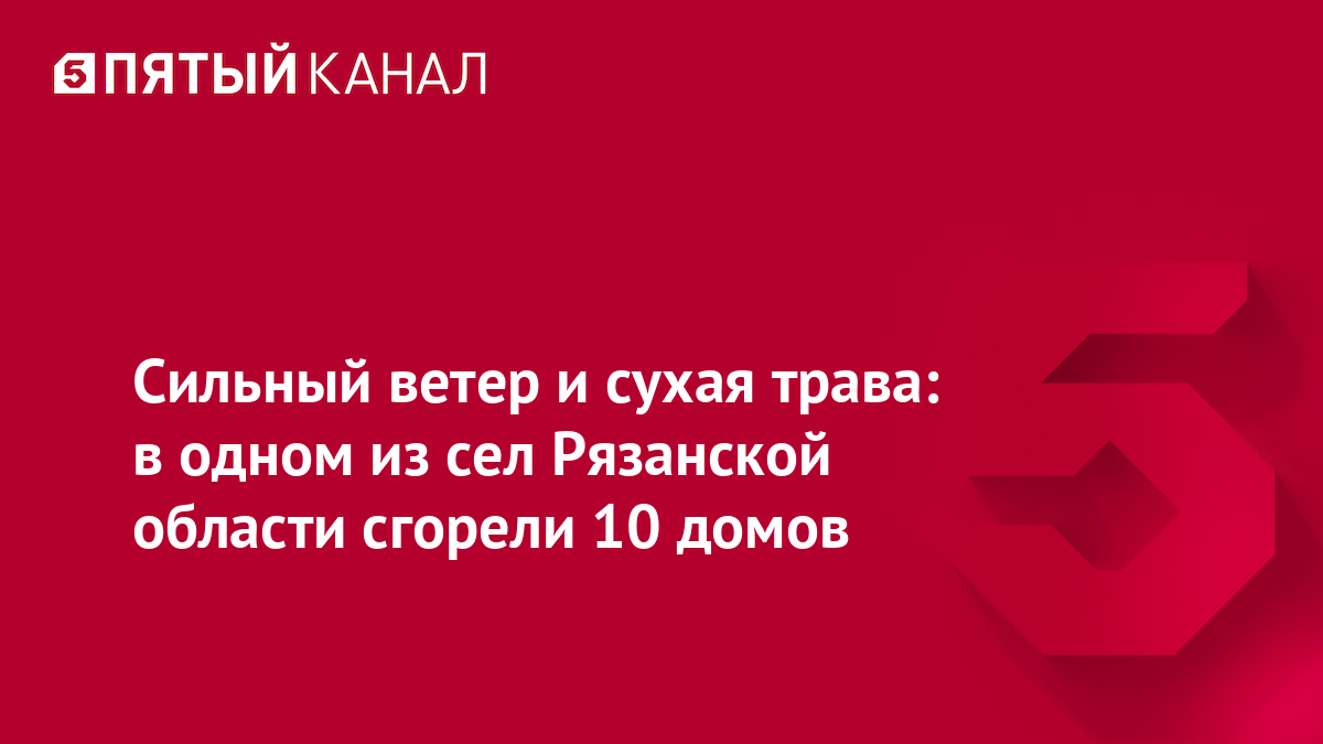 Сильный ветер и сухая трава: в одном из сел Рязанской области сгорели 10 домов