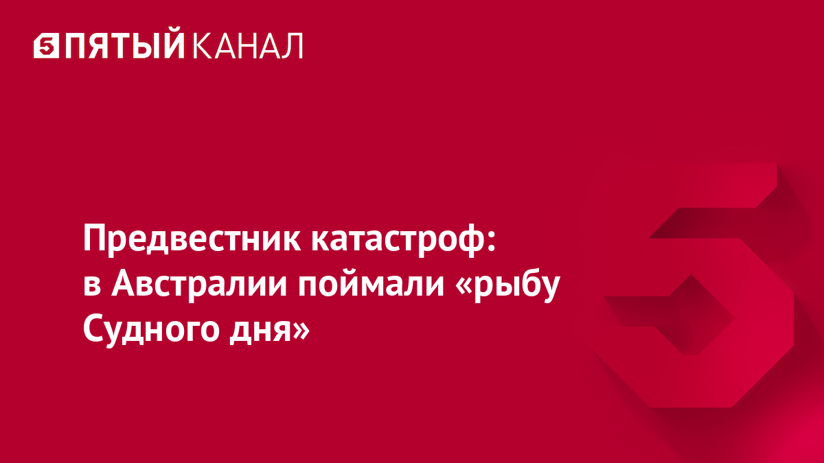 Предвестник катастроф: в Австралии поймали «рыбу Судного дня»