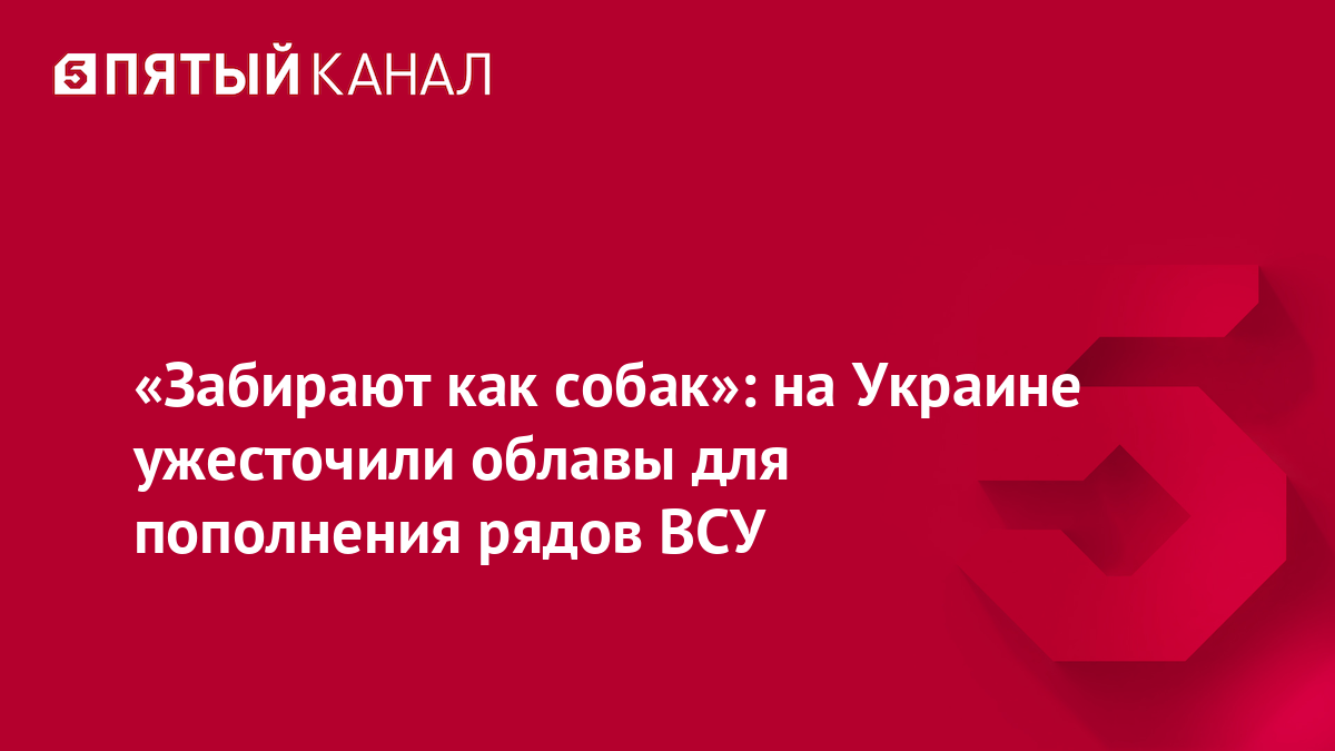 «Забирают как собак»: на Украине ужесточили облавы для пополнения рядов ВСУ