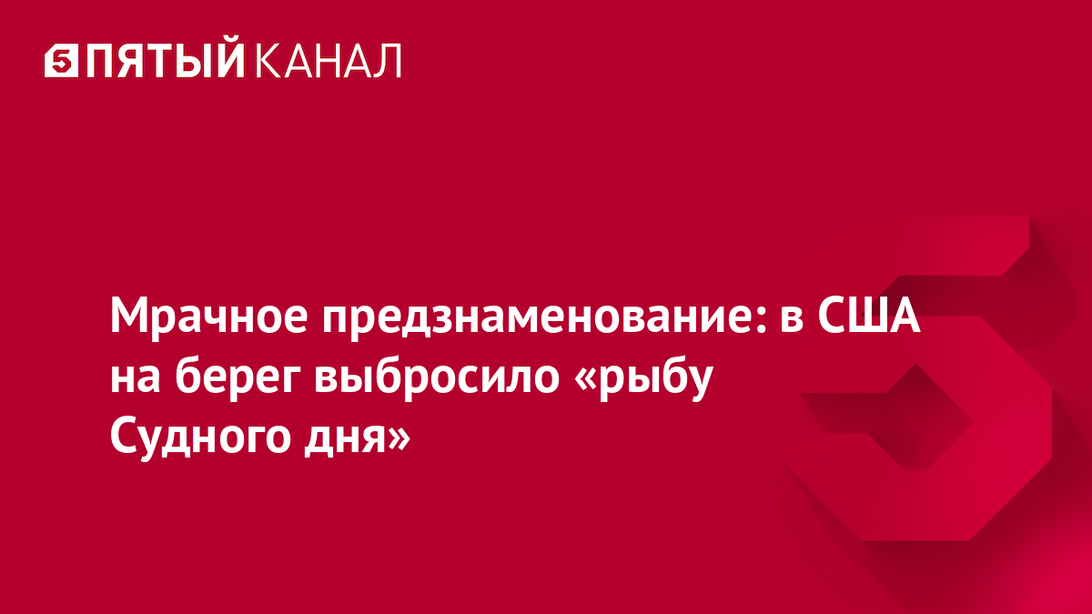 Мрачное предзнаменование: в США на берег выбросило «рыбу Судного дня»