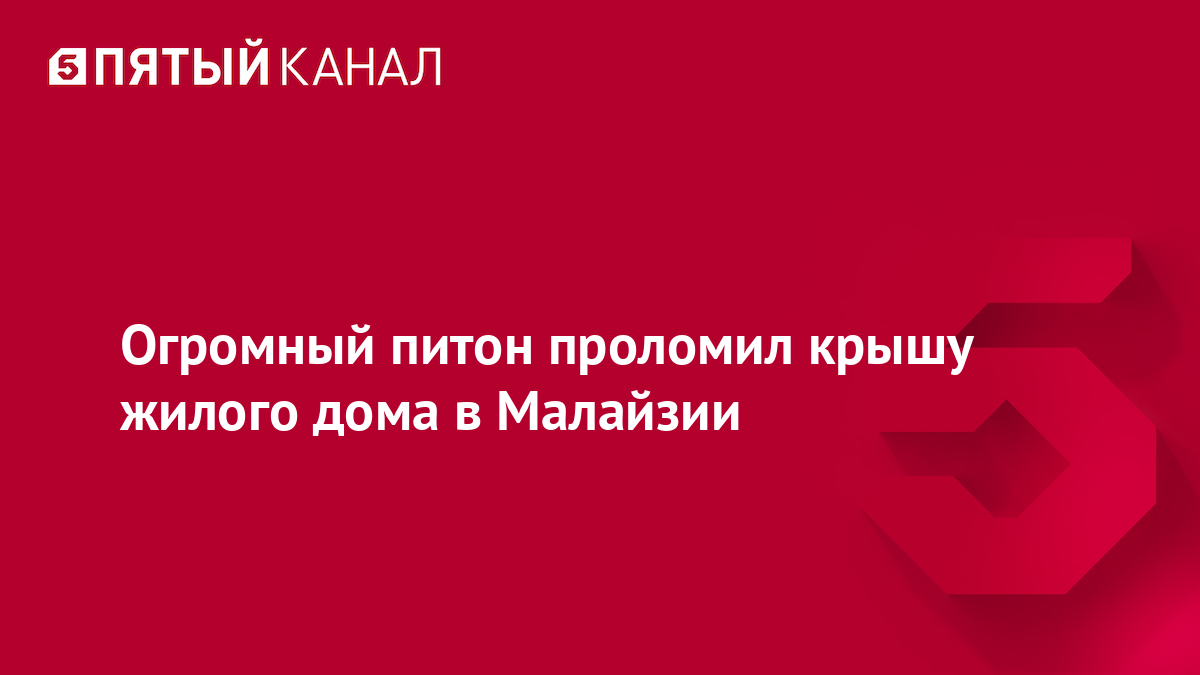 Огромный питон проломил крышу жилого дома в Малайзии