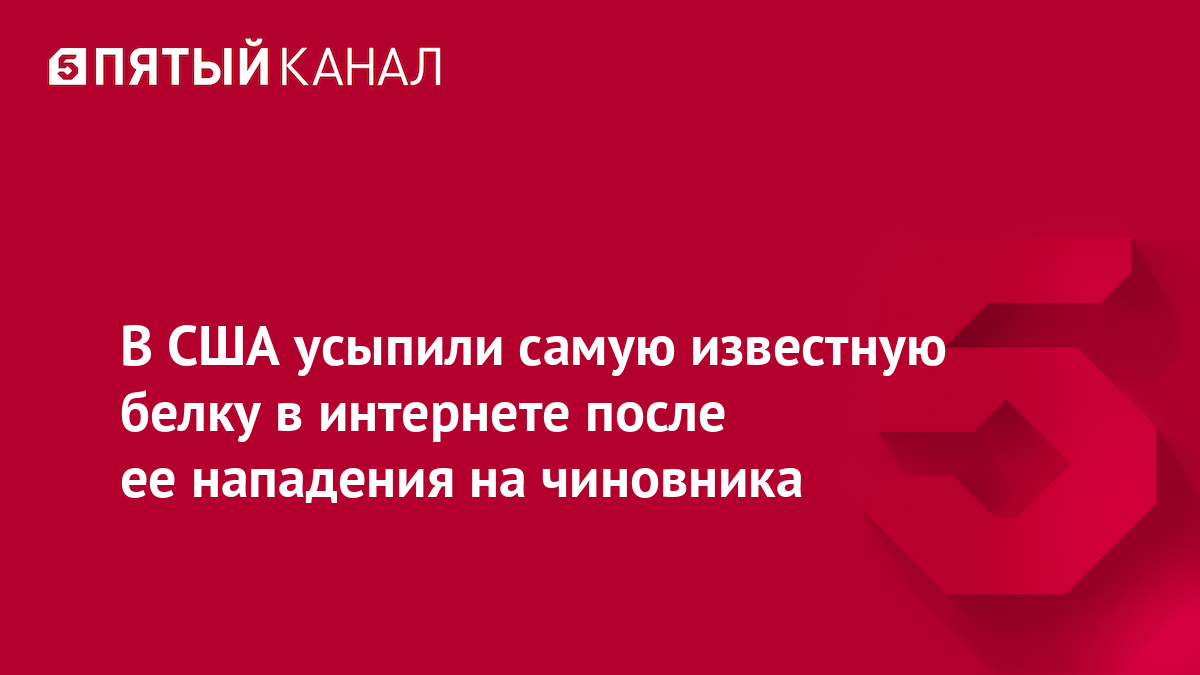 В США усыпили самую известную белку в интернете после ее нападения на чиновника