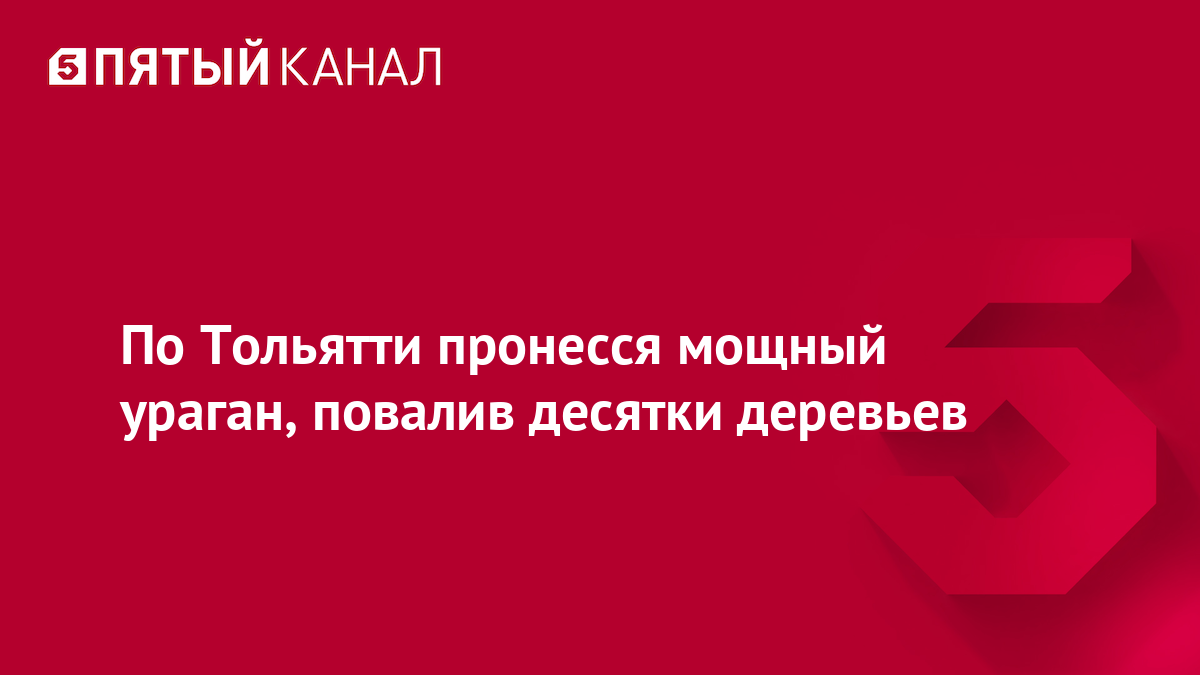 По Тольятти пронесся мощный ураган, повалив десятки деревьев