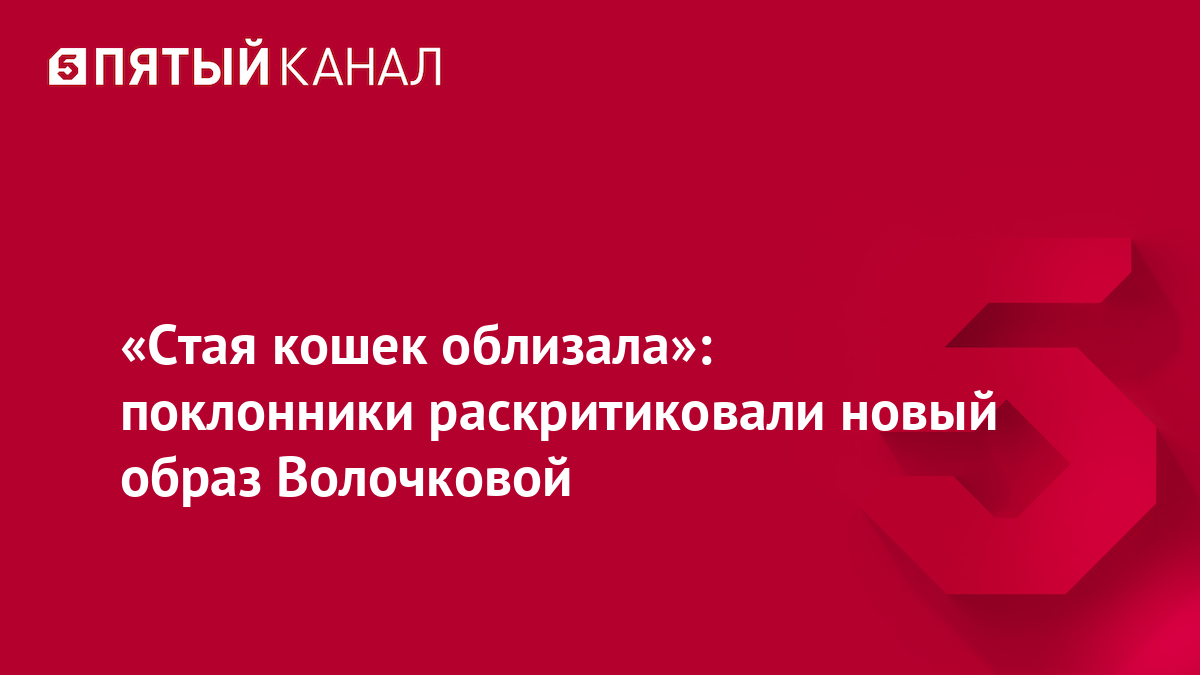 «Стая кошек облизала»: поклонники раскритиковали новый образ Волочковой