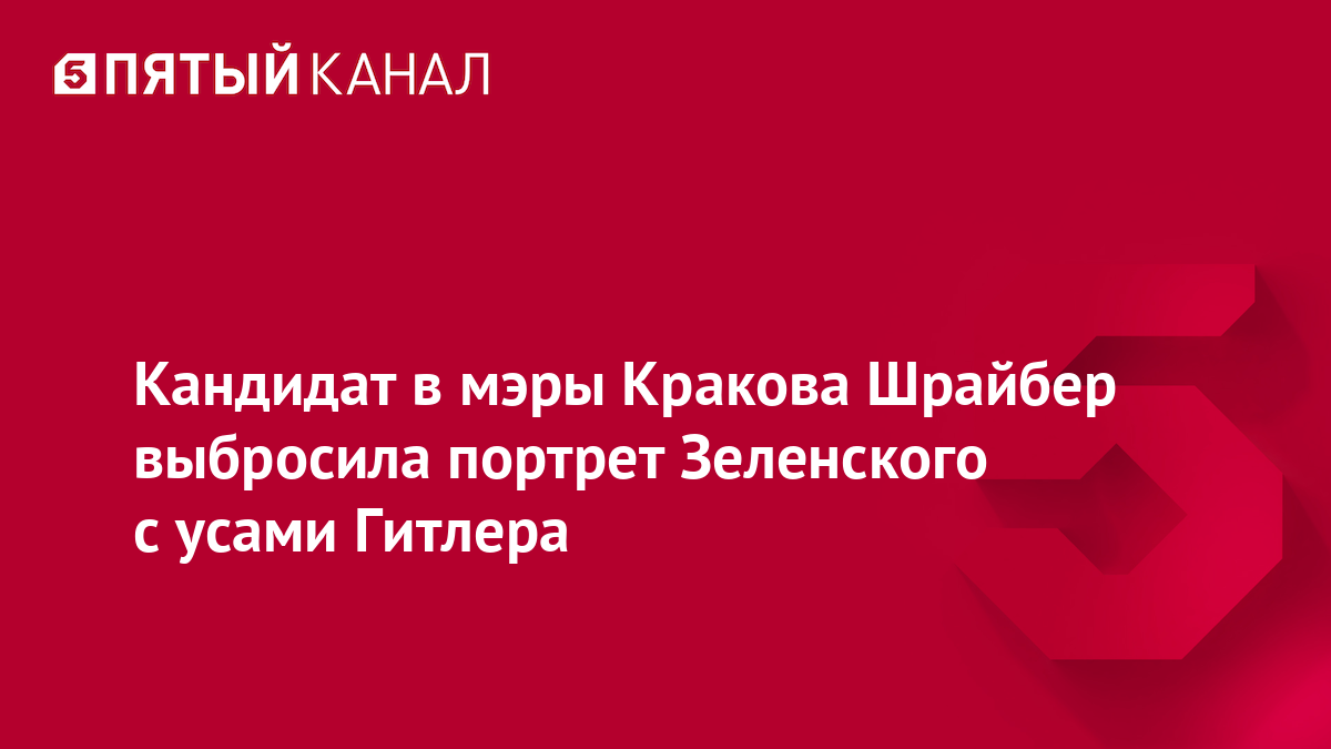 Кандидат в мэры Кракова Шрайбер выбросила портрет Зеленского с усами Гитлера