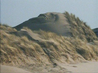«Мир природы. Загадка песков»