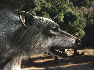 «Доисторические хищники. Волк»