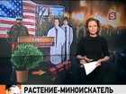 Новое слово в борьбе с террористической угрозой сказали американские ученые