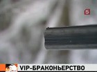 В Волгоградской области беременная лосиха стала жервой кровавых развлечений военных