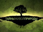 «Тайны живой природы» - документальные фильмы BBC на Пятом