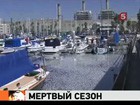 В заливе под Лос-Анджелесом не видно воды из-за мертвых сардин