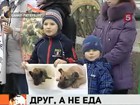 Собака – друг человека, а не еда