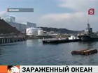 Чем грозит слив радиоактивной воды с Фукусимы в океан?