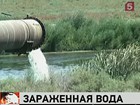 В Волгограде в сточных водах обнаружен вирус гепатита А