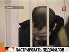 Следственный комитет предлагает кастрировать педофилов