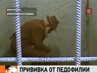 Узаконить химическую кастрацию педофилов предложили Общественная палата и Следственный комитет