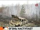 Площадь лесных пожаров в России за сутки увеличилась на 5 тысяч гектаров