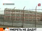 Доминик Стросс-Кан помещён под спецнадзор, чтобы не покончил с собой