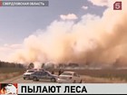 Лесные пожары наступают