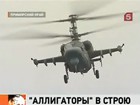 «Аллигаторы» встали в строй