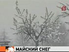 Магадан засыпало снегом