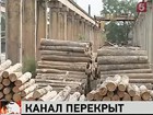 В Хабаровском крае перекрыли крупный канал контрабанды леса