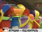 В Воронежской области народные контролеры "Единой России" проверили детские игрушки