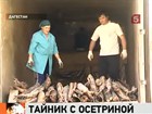 Московские магазины и рынки не досчитаются четырех тонн осетрины