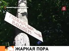 МЧС забраковало 500 детских лагерей