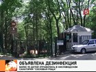 В санатории под Кисловодском отравились почти сто детей