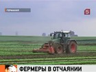 Европейские фермеры в отчаянии уничтожают урожай