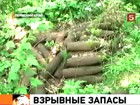 Пока военная прокуратура проверяет арсеналы, в пермских лесах местные жители нашли сотни бесхозных снарядов